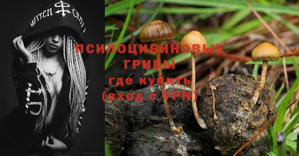ПСИЛОЦИБИНОВЫЕ ГРИБЫ Нефтегорск