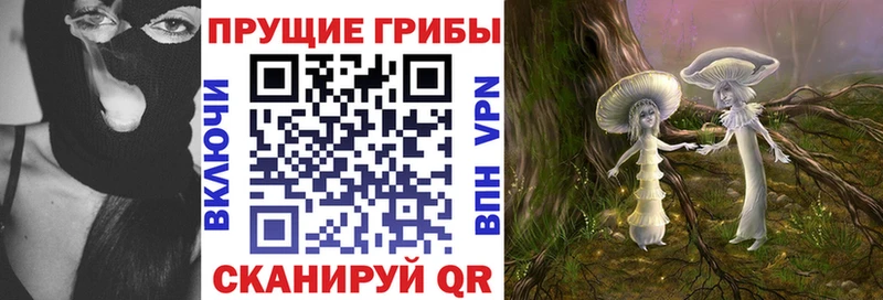 блэк спрут маркетплейс  Скопин  Псилоцибиновые грибы Psilocybe 