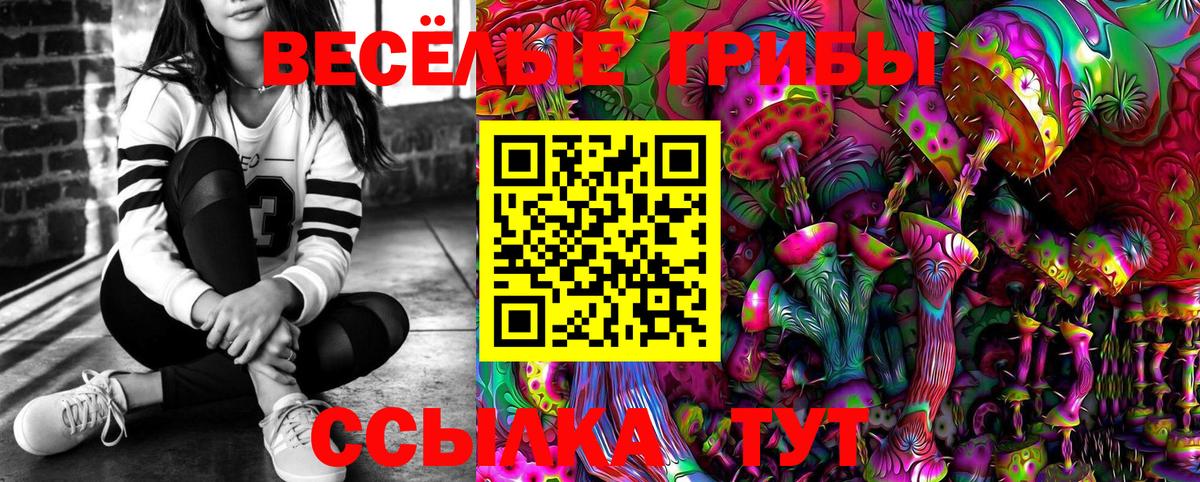 Галлюциногенные грибы Cubensis  Вход с VPN  Скопин 