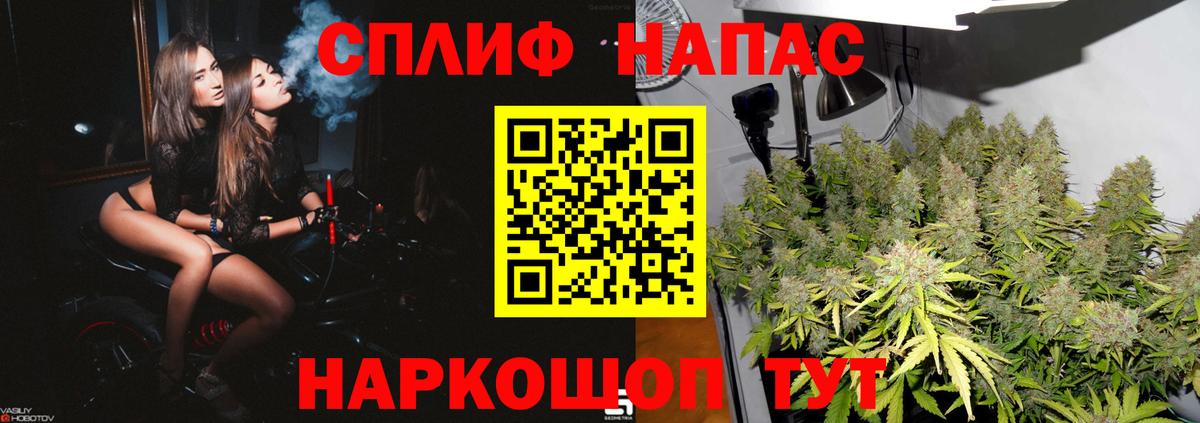 Шишки марихуана гибрид Скопин